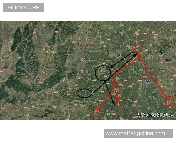 杭州滑板队防守策略深度分析与战术解读