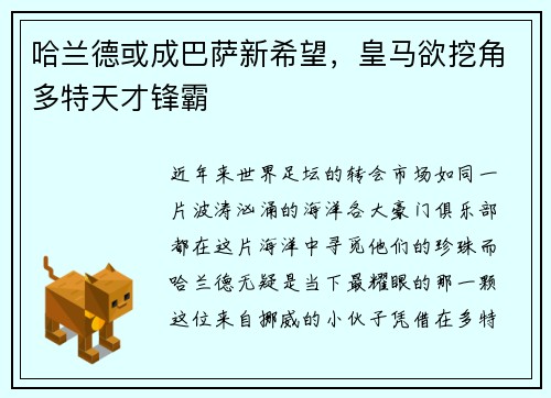 哈兰德或成巴萨新希望，皇马欲挖角多特天才锋霸