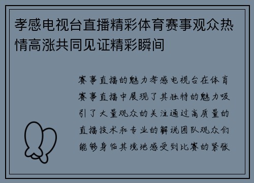 孝感电视台直播精彩体育赛事观众热情高涨共同见证精彩瞬间